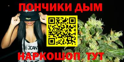 молекула духа Будённовск