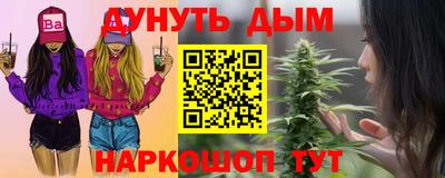 молекула духа Будённовск