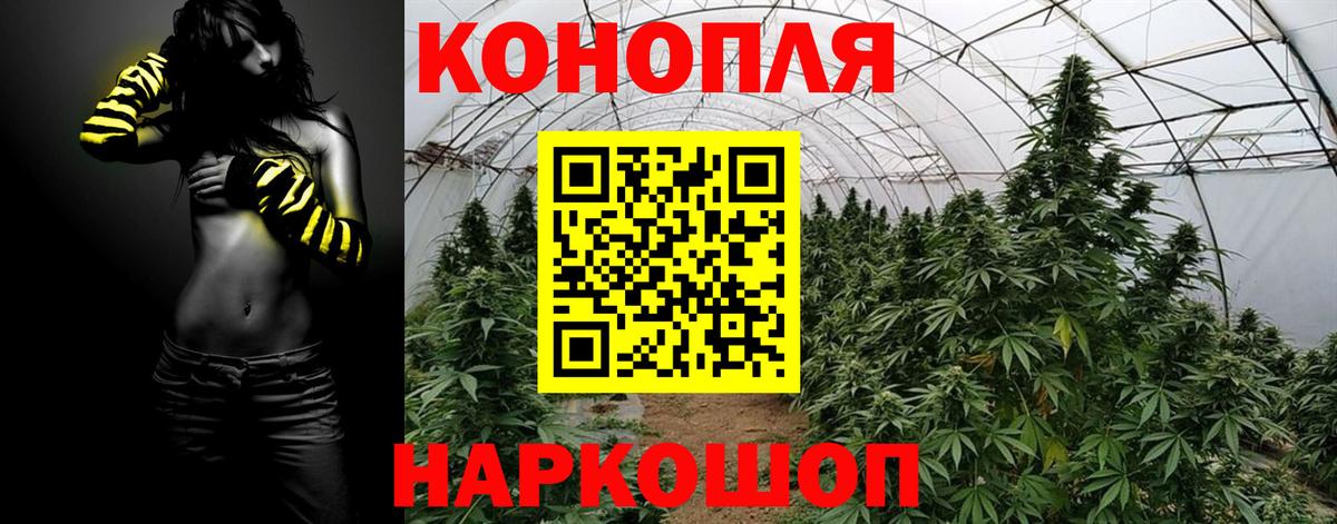 Шишки марихуана индика  Бошки марихуана Bruce Banner  Вход с VPN  Каннабис OG Kush  Тамбов 